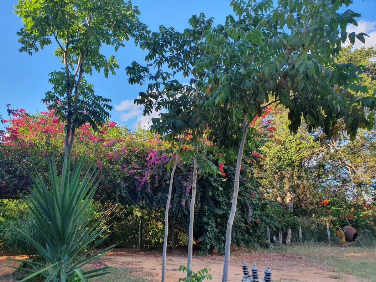 Pousada Do Rio Corrente Alvorada do Norte Экстерьер фото